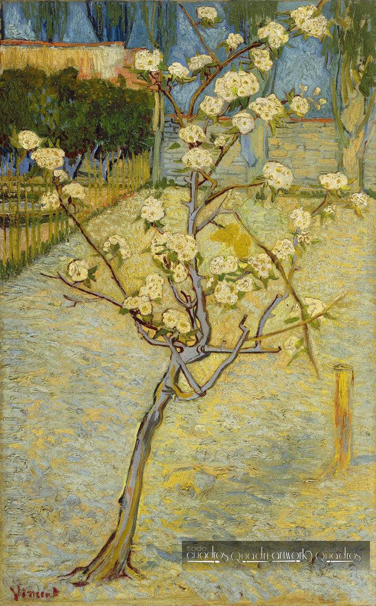 Pero in fiore, Van Gogh